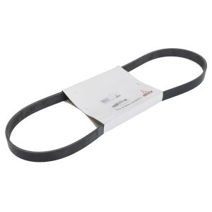 Cinto com várias nervuras (6PK989) DEUTZ 01183371