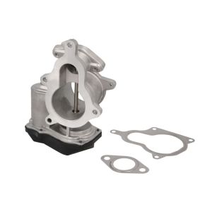 AGR Ventil BORG WARNER WA710931D/1