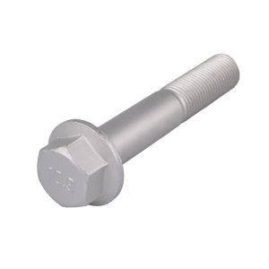 Vis (bras de suspension) TEDGUM TED38445