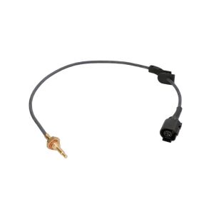 Temperatursensor, Standheizung WEBASTO 11117514C