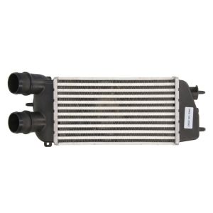 Intercooler NRF 309029