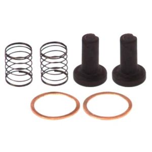 Filtro de combustível BOSCH 2 447 010 011