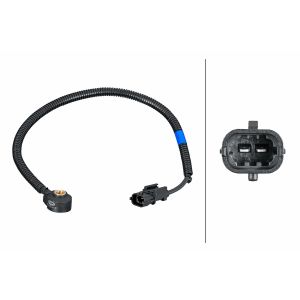 Klopfsensor HELLA 6PG 013 114-871