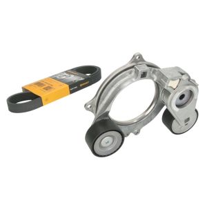 Cinto com várias nervuras (6PK1019)  CONTINENTAL 6PK1034 EXTRA K1