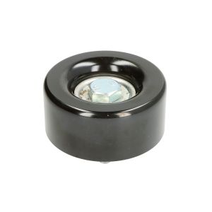 Umlenk-/Führungsrolle, Keilrippenriemen GATES T36342