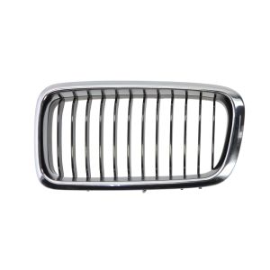 Grille de radiateur BLIC 6502-07-0075995P Gauche