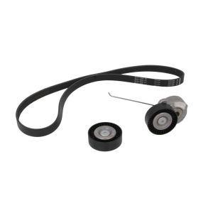 Cinto com várias nervuras (6PK1019)  INA 529 0320 10
