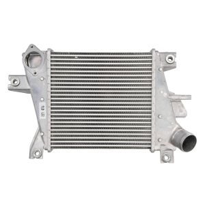 Intercooler THERMOTEC DA1011TT