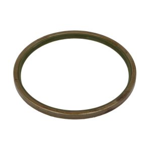 Dichtring-Hinterachse BTA B06-2247