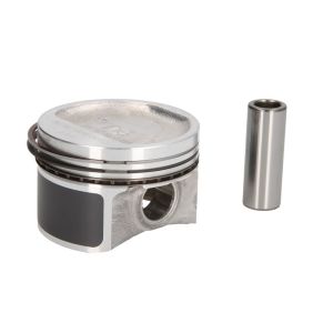 Piston NE 130020001220