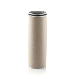 Luftfilter MANN-FILTER CF 2100
