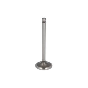 Válvula de escape IPD PARTS 5S6449-IPD