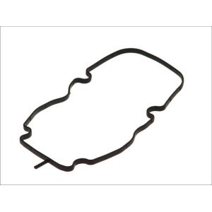 Guarnizione, coperchio testa cilindro DT Spare Parts 1.27064