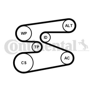 Poly V-riem set CONTITECH 6PK1698K1