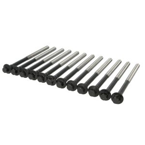 Set di bulloni per testa del cilindro REINZ 14-32379-01