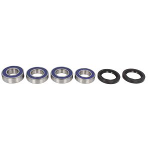 Radlagersatz ALL BALLS AB25-1492