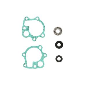 Kit de reparação, bomba de água HOT RODS WPK0013