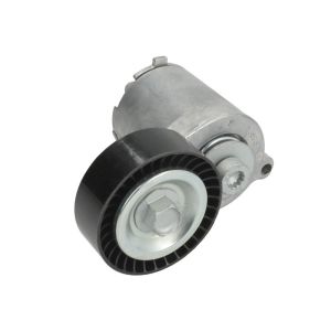 Polea tensora, Correa poly V GATES T38315