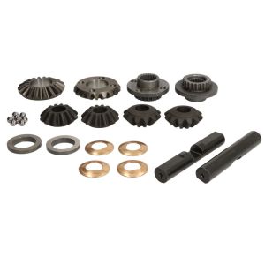 Differential-Reparatursatz CARRARO 66317-CR
