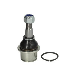 Junta de suporte/guia TEN CAR S095TC