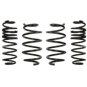 Mola de suspensão EIBACH Pro-Kit E10-35-020-02-22