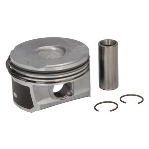 Piston NE 130037004600