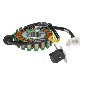 Lichtmaschinenstator DZE DZE02867