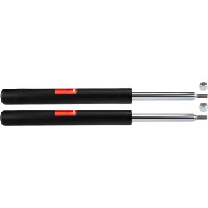 Amortecedor TRW JGC105T