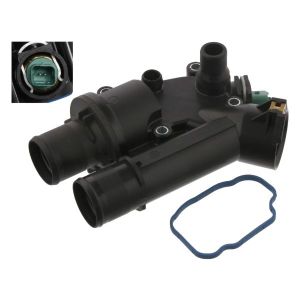 Termostato, refrigerante FEBI BILSTEIN 36037