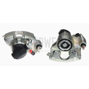 Jarrusatula BUDWEG 342063