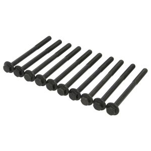 Conjunto de parafusos da cabeça do cilindro REINZ 14-13441-01