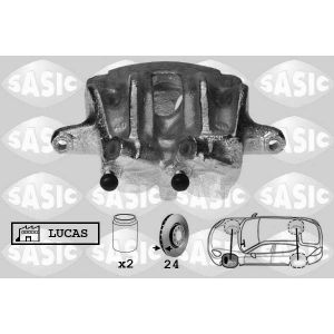 Jarrusatula SASIC SCA0066