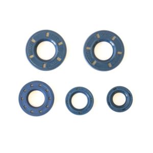 Kit de juntas do motor ATHENA P400150400160