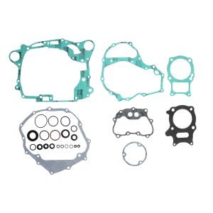 Set di guarnizioni, motore WINDEROSA W811888