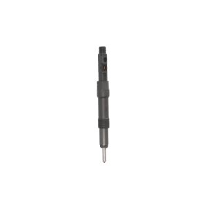 Injektor, Common Rail DELPHI R01001D