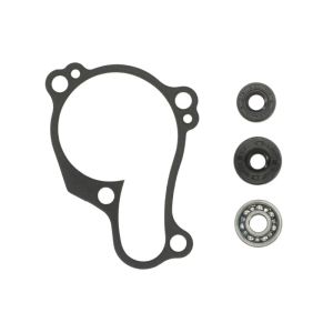 Kit de reparação, bomba de água HOT RODS WPK0059
