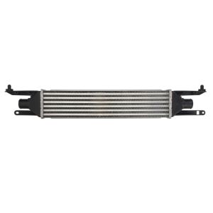 Intercooler THERMOTEC DAF008TT