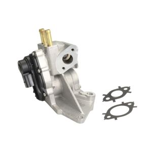 AGR-Ventil HELLA 6NU 010 171-721