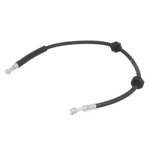 Flexible de frein DELPHI LH8020