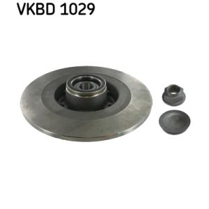 Disco de travão SKF VKBD 1029