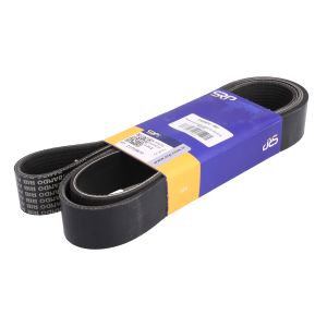 Correia em V Poly V SRP 21259870-SRP