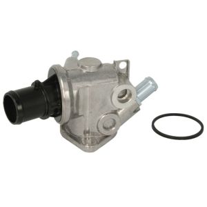 Thermostat d'eau THERMOTEC D2D004TT
