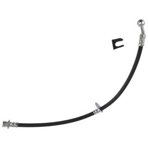 Bremsschlauch BLUE PRINT ADBP530007