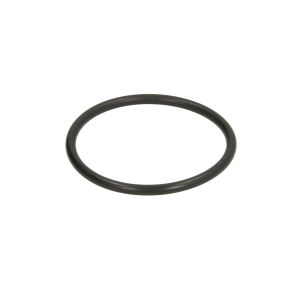 O-Ring, Getriebe C.E.I 139431