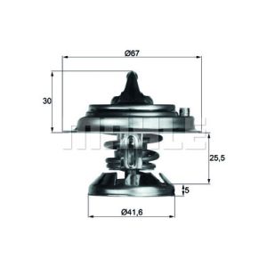 Thermostaat, koelvloeistof BEHR TX 29 80D