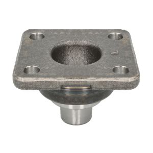 Cavilha, manga de eixo S-TR STR-15A294