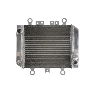 Radiateur, refroidissement du moteur 4RIDE RAD-575