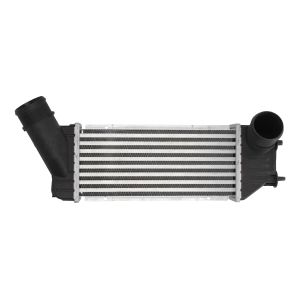 Intercooler THERMOTEC DAC001TT