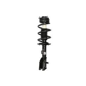 Amortecedor de choque EVOLUTION VCHR003L