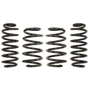 Kit sospensioni, molle EIBACH Pro-Kit E10-15-020-01-22